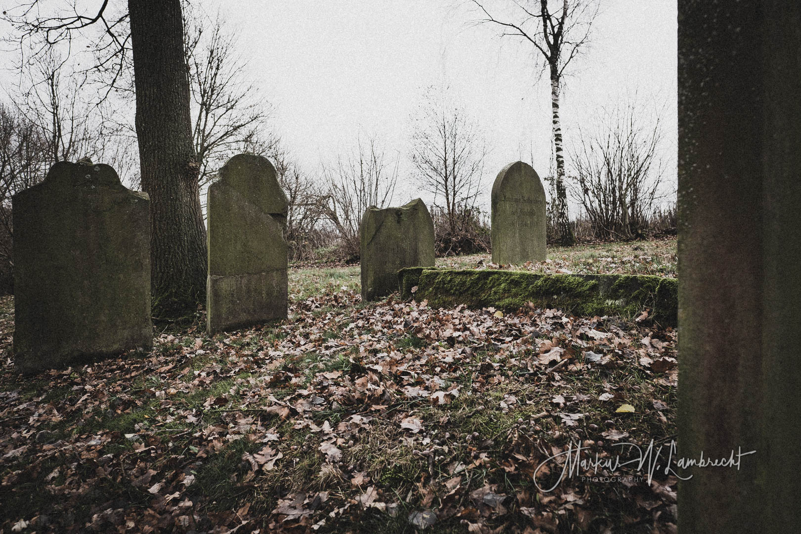 Mackensen (Dassel), Jüdischer Friedhof